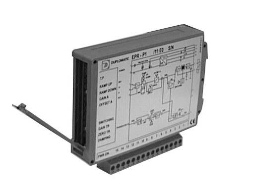 EPR-P1*�����Ŵ���