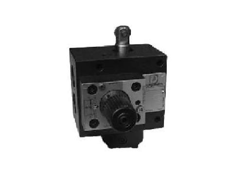 CP1R*-Wת��ʽ�����л���