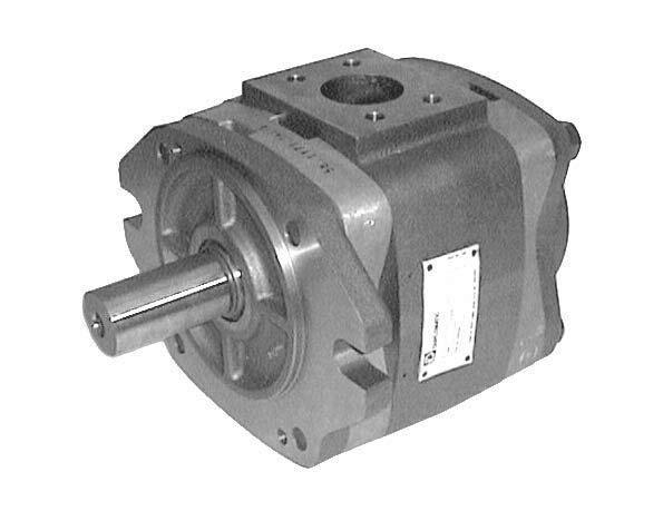 IGP�����ϳ��ֱ�